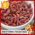 Secado al sol proceso de secado China Ningxia goji berry